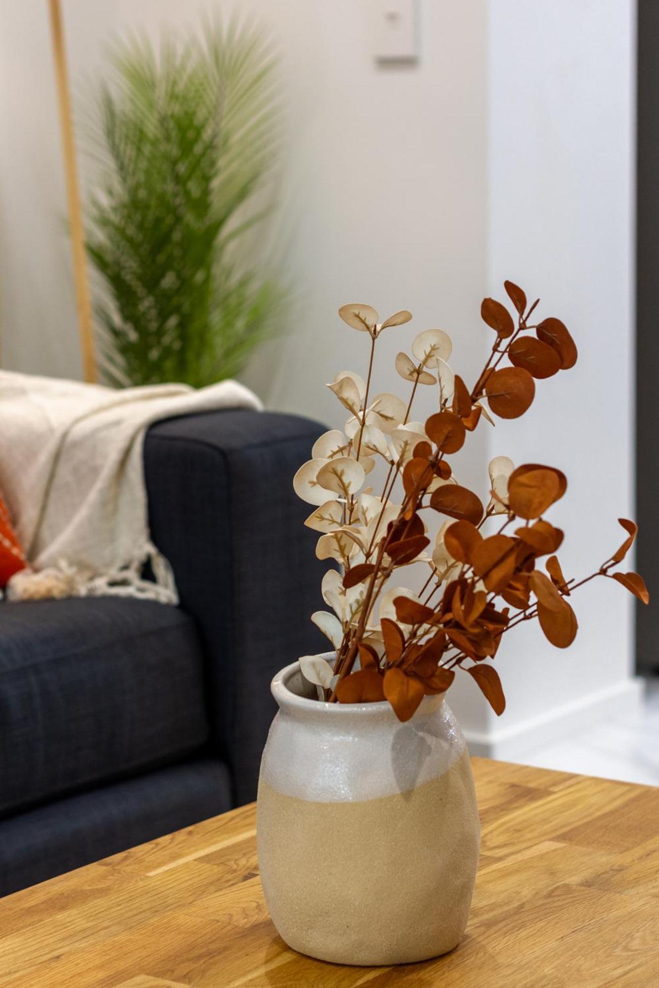 Modern City Lifestyle: 2 Bedroom 1 Bath Christchurch Buitenkant foto